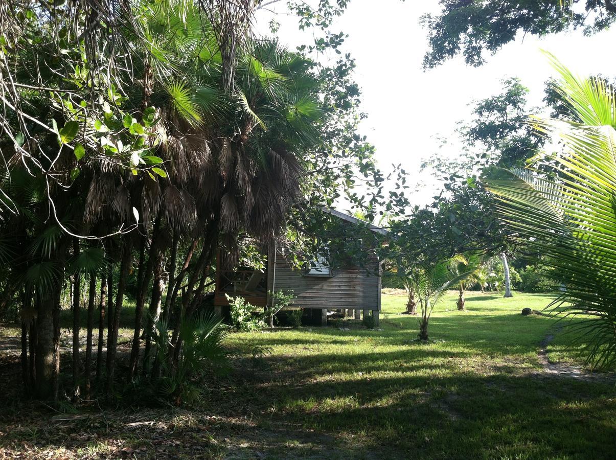 Nature Resort Bermudian Landing Room photo
